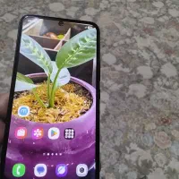 سامسونگ A54 256