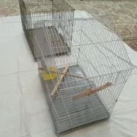 قفس پرنده