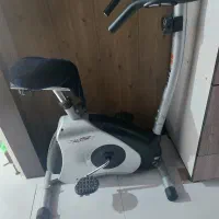 دوچرخه ثابت استینگ ری تایوانی