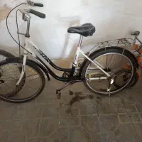 دوچرخه اصل ژاپن