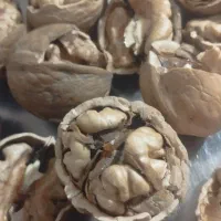 گردو تویسرکان|خوردنی و آشامیدنی|فردیس, فردیس|دیوار