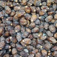 خرما چومه.خرما