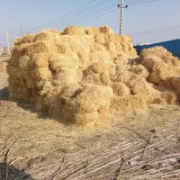 پرس علف دم|لوازم جانبی حیوانات|پلدشت, |دیوار