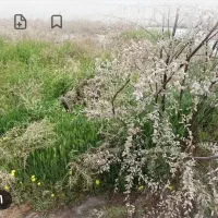 باغ ویلا فروش