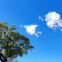 خاستار ضامن کارمند برایه وام ازدواج