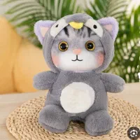 حیوانات گم شده گربه