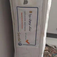 تشک نوجوان رویا