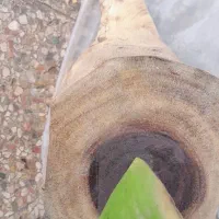 گلدان تزیینی|گل مصنوعی|اهواز, شهدای انتظامی|دیوار