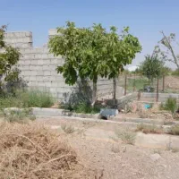 فروش-زمین-باغی