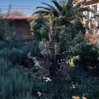 ویلایی خاص(شمال فاز۲)