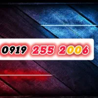 ۹۱۹ رند برای صاحبین‌کسب و کار