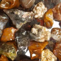 سنگ شجر زیبا|کلکسیون اشیاء عتیقه|کرمان, |دیوار