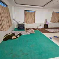 برداشت توت فرنگی  گلخانه ای و مرغداری  ۴۶ هزارمتر