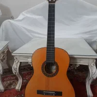 گیتار پرل ریور