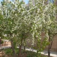 واحد ویلایی سوپر لوکس فاز ۱ دربست