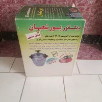 دیگ زودپز ۱۰ نفره