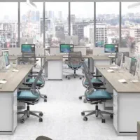 منشی خانم و دستیار مدیر عامل