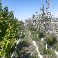 ویلا اماده شبستر وایقان