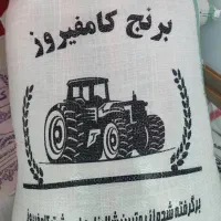 برنج کامفیروزی