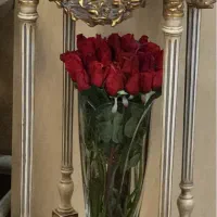 سی و دو شاخه گل رز لمسی