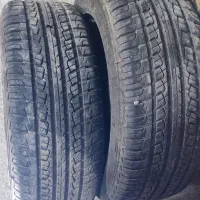 لاستیک پژو  205