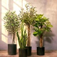 درختچه مصنوعی مشابه نمونه طبیعی