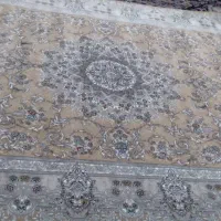 فرش ۶متری|فرش|قم, آلوچو|دیوار