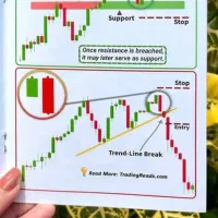 آموزش حضوری ترید(فارکس و ارز دیجیتال)