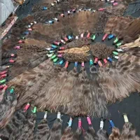 (خریدار)اصلی مو طبیعی قیمت ویژه بزرگترین شعبه قم|آرایشی، بهداشتی، درمانی|قم, سالاریه|دیوار