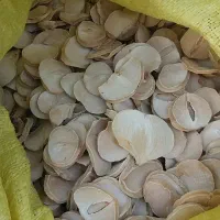سیر و موسیر همدان|خوردنی و آشامیدنی|قم, دانش|دیوار