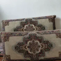یک جفت پشتی