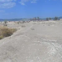زمین-هوشک