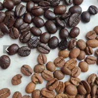 همکار محترم جهت همکاری کافه