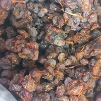 عرضه مستقیم مویز و کشمش آفتابی شیراز|خوردنی و آشامیدنی|قم, هفت تیر|دیوار