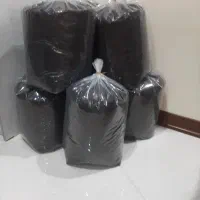 چای  لاهیجان