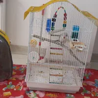 قفس وکوله|لوازم جانبی حیوانات|زنجان, |دیوار