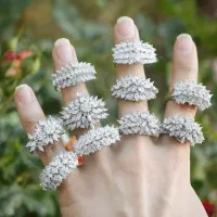 سرویس نقره لوکس مشابه طلا مرکز تولیدنقره زیورآلات