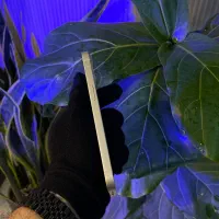 آیفون 13 نرمال پک اصلی