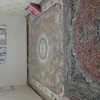 آپارتمان ۵۵ متری|اجارهٔ آپارتمان|مشهد, انقلاب|دیوار
