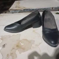 کفش و صندل|کیف، کفش، کمربند|بیرجند, |دیوار