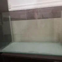 اکواریوم
