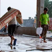 استخدام قالیشویی