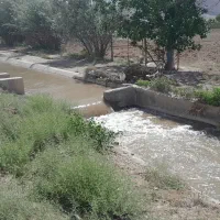 چهار دیواری باغی