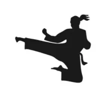 اموزش هنر های رزمی و دفاع شخصی ( کونگ فو )*بانوان*