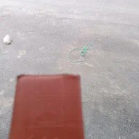 کارت پیدا شده