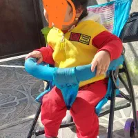 کالسکه عصایی