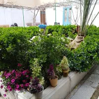 400-متری-خانه-باغ-مرکز-شهر