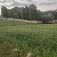 زمین۲۰۸۰ متری  در سد الخلج|فروش زمین و ملک کلنگی|تیکمه داش, |دیوار