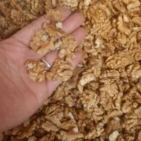 گردوی درجه ۱ ایرانی پوست سفید و روغنی