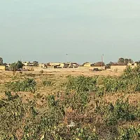 فروش زمین باغ انگور سند تک برگ معاوضه با موتور|فروش زمین و ملک کلنگی|کرج, اصفهانی‌ها|دیوار
